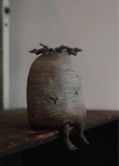 ozwrt BaobabMan バオバブマン　ssサイズ 新品 ozwrt BaobabMan バオバブマン ssサイズ - メルカリ