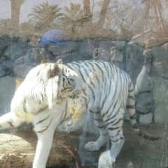 Riri様　専用　防災頭巾　ツムツム　ピンクのサムネイル