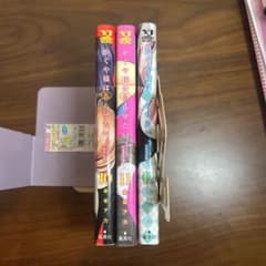かぐや様は告らせたい 10〜12巻セットのサムネイル