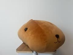 カピバラ ぬいぐるみ クッションのサムネイル