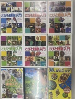 こびとづかん dvd 9枚セット m22710667448_1.jpg?1768031804