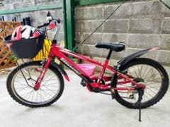 【値下げ可】【引き渡しのみ】ドライドs3 206 20インチ マウンテンバイクのサムネイル