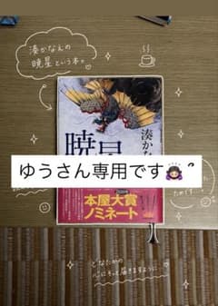 湊かなえ 暁星 （ゆうさん専用）のサムネイル