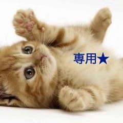専用です！のサムネイル