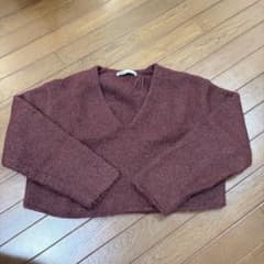 ZARA ショート丈ニット