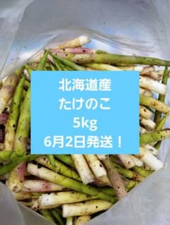 今年も大好評！6月2日発送！北海道産 山菜 たけの 姫竹 根曲がり竹