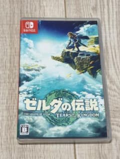 Switch 젤다의 전설 티어즈 오브 더 킹덤