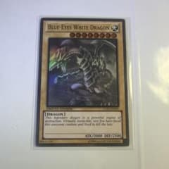 遊戯王 青眼の白龍 英語版 ゴールド ゴーストレア ホログラフィック 
