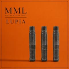 エムエムエル　 ルピア 2BA 谷内太郎 18g　ダーツ バレル 廃盤・希少】 ルピア 2BA 谷内太郎 18g ダーツ バレル - メルカリ