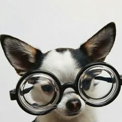 しゅうさま専用のサムネイル