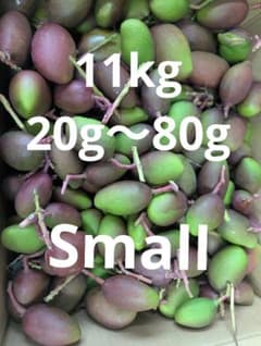摘果マンゴー 11kg - メルカリ