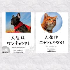 人生はニャンとかなる！ 人生はワンチャンス！水野敬也 長沼直樹のサムネイル
