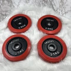 アイロテック（IROTEC）2.5kg ラバープレート 4枚セット（合計10kgのサムネイル