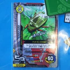 フラン様専用 プラチナコガネのサムネイル