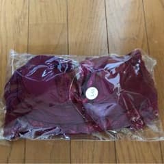 Raga様専用 アンジェリール  ふんわりルームブラ Ｌ〜LLのサムネイル