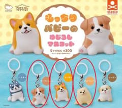 もっちりパピーのめじるしマスコット ポメラニアン コーギー ボーダーコリーのサムネイル