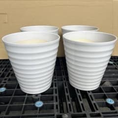 白8号陶器鉢4枚セット - メルカリ