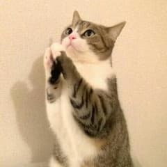 Shanmann様専用！購入しないで下さいm(__)mのサムネイル