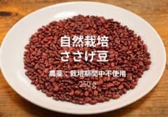 自然栽培　＜ささげ豆＞農薬：栽培期間中不使用のサムネイル