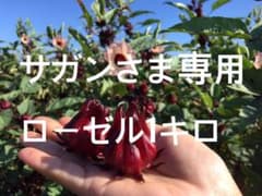 サガン様専用オーガニック ローゼル1キロのサムネイル