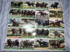 競馬 オーナーズホース36枚セットのサムネイル