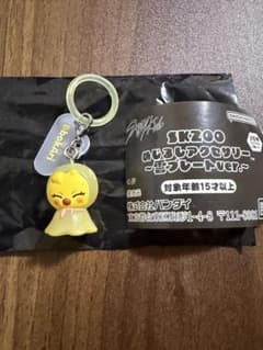 SKZOO めじるしアクセサリー 雲プレートver. BbokAriのサムネイル