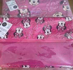 ミニー×PLAZA ガジェットケース＆ストレージケース 2個セット Disney 