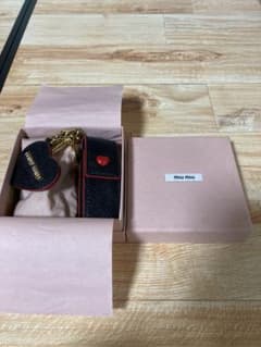 MIUMIU 美品 リップケース ストラップ 箱付き
