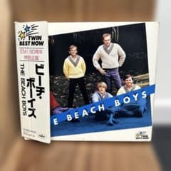 THE BEACH BOYS ベスト・アルバム CD 2枚組のサムネイル