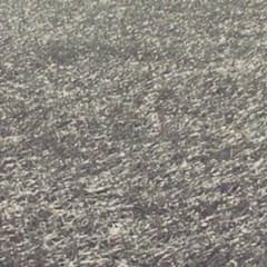 ももちゃん様専用！！のサムネイル
