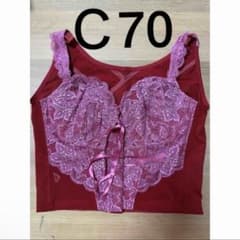 グラントイーワンズ ニッパービスチェ C70 LOVE 赤 - メルカリ