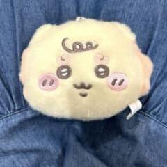 【新品】ちいかわ シーサーbabyぬいぐるみマスコットパスケース【大人気】
