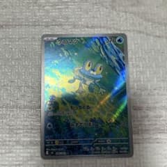 m22807929161_1.jpg?1773410745
