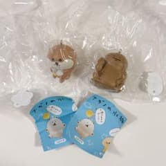 ナガノの水族館 フィギュアキーホルダー　ガチャ オオサンショウウオ　カワウソ