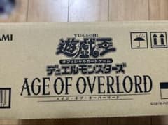 エイジ・オブ・オーバーロードのサムネイル