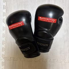 BULLTERRIER ボクシンググローブ 14ozのサムネイル