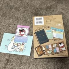 m22825052072_1.jpg?1763796351