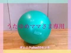 バランスボール　ギムニクplus55センチ（バースト防止機能付き）のサムネイル