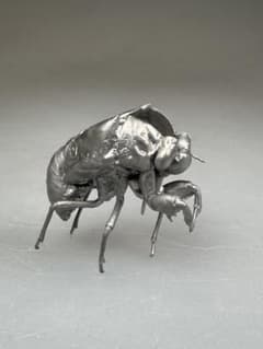 蝉　蝉の抜け殻　セミ　オブジェ　虫好き　金属製　標本のサムネイル
