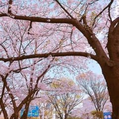 仕掛人様専用のサムネイル