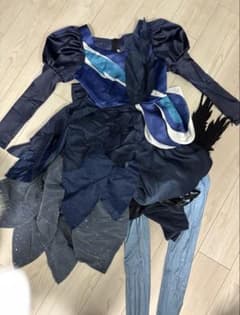 비엔나 마가레테 Butterfly Wing 코스프레