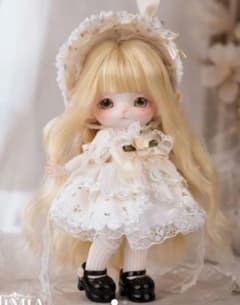 PINYUN MiMiA BJD ブラインドボックス　 エミリーローズウィスパーのサムネイル