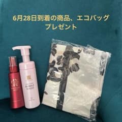 クリスタルジェミー (チェンジ)リンクルミストW、バブルウォッシュ、エコバッグのサムネイル