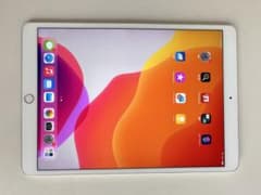 【値下げ中】512GB iPad Pro 10.5インチ シルバーのサムネイル