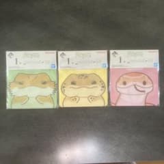 이치 반 쿠지 파충류 & 양서류 vol.2 I 상 지퍼 가방 3 종