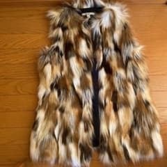 ZARA ファーベストのサムネイル