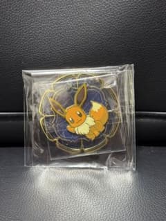 ポケモン イーブイ 星空シリーズ マグネット イーブイ 公式正規品
