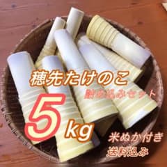 皮むき　姫皮付き　穂先たけのこ　5kg 　米ぬか付き　農家直送　送料無料のサムネイル