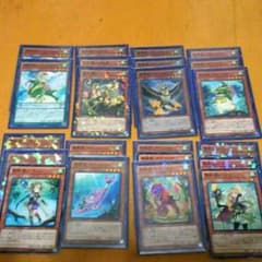 遊戯王 霊獣 デッキのサムネイル