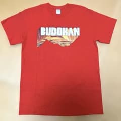 【美品】三浦大知 BEST HIT TOUR 2017-18 Tシャツ　Mサイズのサムネイル